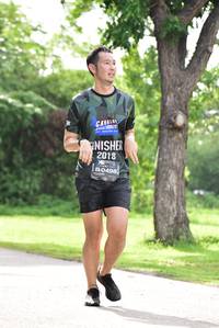 BIB: 2018, 0498
                            <button type="button" onclick="openModal(4988764)" class="btn btn-primary btn-sm float-right btn-popup" data-toggle="modal" data-target=".modal-high-quality">
                        <i class="fas fa-shopping-cart"></i> Add to Cart
                    </button>
                                            <button type="button" onclick="isThisMe(4988764, true)" class="btn btn-success btn-sm float-right btn-popup btn-isme hidden" data-toggle="tooltip" data-placement="bottom" title="นี่คือรูปของคุณใช่ไหม คลิกที่นี่เพื่อเอาเข้าอัลบั้ม">
                        <i class="fas fa-plus"></i> Add to album
                    </button>
                    <button type="button" onclick="isThisMe(4988764, false)" class="btn btn-warning btn-sm float-right btn-popup btn-isnotme hidden">
                        <i class="fas fa-ban"></i> Remove from album
                    </button>