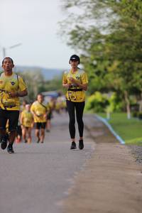 BIB: 
                            <button type="button" onclick="openModal(4971753)" class="btn btn-primary btn-sm float-right btn-popup" data-toggle="modal" data-target=".modal-high-quality">
                        <i class="fas fa-shopping-cart"></i> Add to Cart
                    </button>
                                            <button type="button" onclick="isThisMe(4971753, true)" class="btn btn-success btn-sm float-right btn-popup btn-isme hidden" data-toggle="tooltip" data-placement="bottom" title="นี่คือรูปของคุณใช่ไหม คลิกที่นี่เพื่อเอาเข้าอัลบั้ม">
                        <i class="fas fa-plus"></i> Add to album
                    </button>
                    <button type="button" onclick="isThisMe(4971753, false)" class="btn btn-warning btn-sm float-right btn-popup btn-isnotme hidden">
                        <i class="fas fa-ban"></i> Remove from album
                    </button>