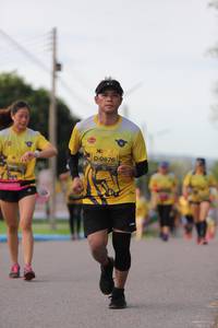 BIB: 0876
                            <button type="button" onclick="openModal(5002059)" class="btn btn-primary btn-sm float-right btn-popup" data-toggle="modal" data-target=".modal-high-quality">
                        <i class="fas fa-shopping-cart"></i> Add to Cart
                    </button>
                                            <button type="button" onclick="isThisMe(5002059, true)" class="btn btn-success btn-sm float-right btn-popup btn-isme hidden" data-toggle="tooltip" data-placement="bottom" title="นี่คือรูปของคุณใช่ไหม คลิกที่นี่เพื่อเอาเข้าอัลบั้ม">
                        <i class="fas fa-plus"></i> Add to album
                    </button>
                    <button type="button" onclick="isThisMe(5002059, false)" class="btn btn-warning btn-sm float-right btn-popup btn-isnotme hidden">
                        <i class="fas fa-ban"></i> Remove from album
                    </button>