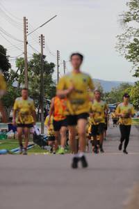 BIB: 
                            <button type="button" onclick="openModal(5037468)" class="btn btn-primary btn-sm float-right btn-popup" data-toggle="modal" data-target=".modal-high-quality">
                        <i class="fas fa-shopping-cart"></i> Add to Cart
                    </button>
                                            <button type="button" onclick="isThisMe(5037468, true)" class="btn btn-success btn-sm float-right btn-popup btn-isme hidden" data-toggle="tooltip" data-placement="bottom" title="นี่คือรูปของคุณใช่ไหม คลิกที่นี่เพื่อเอาเข้าอัลบั้ม">
                        <i class="fas fa-plus"></i> Add to album
                    </button>
                    <button type="button" onclick="isThisMe(5037468, false)" class="btn btn-warning btn-sm float-right btn-popup btn-isnotme hidden">
                        <i class="fas fa-ban"></i> Remove from album
                    </button>