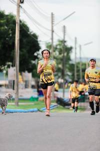 BIB: 
                            <button type="button" onclick="openModal(5033989)" class="btn btn-primary btn-sm float-right btn-popup" data-toggle="modal" data-target=".modal-high-quality">
                        <i class="fas fa-shopping-cart"></i> Add to Cart
                    </button>
                                            <button type="button" onclick="isThisMe(5033989, true)" class="btn btn-success btn-sm float-right btn-popup btn-isme hidden" data-toggle="tooltip" data-placement="bottom" title="นี่คือรูปของคุณใช่ไหม คลิกที่นี่เพื่อเอาเข้าอัลบั้ม">
                        <i class="fas fa-plus"></i> Add to album
                    </button>
                    <button type="button" onclick="isThisMe(5033989, false)" class="btn btn-warning btn-sm float-right btn-popup btn-isnotme hidden">
                        <i class="fas fa-ban"></i> Remove from album
                    </button>