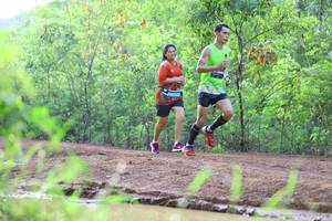 BIB: 
                            <button type="button" onclick="openModal(5064855)" class="btn btn-primary btn-sm float-right btn-popup" data-toggle="modal" data-target=".modal-high-quality">
                        <i class="fas fa-shopping-cart"></i> Add to Cart
                    </button>
                                            <button type="button" onclick="isThisMe(5064855, true)" class="btn btn-success btn-sm float-right btn-popup btn-isme hidden" data-toggle="tooltip" data-placement="bottom" title="นี่คือรูปของคุณใช่ไหม คลิกที่นี่เพื่อเอาเข้าอัลบั้ม">
                        <i class="fas fa-plus"></i> Add to album
                    </button>
                    <button type="button" onclick="isThisMe(5064855, false)" class="btn btn-warning btn-sm float-right btn-popup btn-isnotme hidden">
                        <i class="fas fa-ban"></i> Remove from album
                    </button>