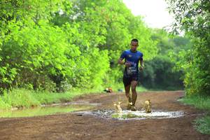 BIB: 1005
                            <button type="button" onclick="openModal(5054489)" class="btn btn-primary btn-sm float-right btn-popup" data-toggle="modal" data-target=".modal-high-quality">
                        <i class="fas fa-shopping-cart"></i> Add to Cart
                    </button>
                                            <button type="button" onclick="isThisMe(5054489, true)" class="btn btn-success btn-sm float-right btn-popup btn-isme hidden" data-toggle="tooltip" data-placement="bottom" title="นี่คือรูปของคุณใช่ไหม คลิกที่นี่เพื่อเอาเข้าอัลบั้ม">
                        <i class="fas fa-plus"></i> Add to album
                    </button>
                    <button type="button" onclick="isThisMe(5054489, false)" class="btn btn-warning btn-sm float-right btn-popup btn-isnotme hidden">
                        <i class="fas fa-ban"></i> Remove from album
                    </button>