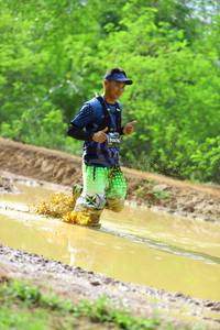 BIB: 
                            <button type="button" onclick="openModal(5016841)" class="btn btn-primary btn-sm float-right btn-popup" data-toggle="modal" data-target=".modal-high-quality">
                        <i class="fas fa-shopping-cart"></i> Add to Cart
                    </button>
                                            <button type="button" onclick="isThisMe(5016841, true)" class="btn btn-success btn-sm float-right btn-popup btn-isme hidden" data-toggle="tooltip" data-placement="bottom" title="นี่คือรูปของคุณใช่ไหม คลิกที่นี่เพื่อเอาเข้าอัลบั้ม">
                        <i class="fas fa-plus"></i> Add to album
                    </button>
                    <button type="button" onclick="isThisMe(5016841, false)" class="btn btn-warning btn-sm float-right btn-popup btn-isnotme hidden">
                        <i class="fas fa-ban"></i> Remove from album
                    </button>