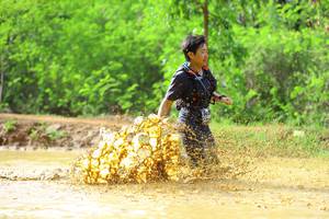 BIB: 0591
                            <button type="button" onclick="openModal(5014670)" class="btn btn-primary btn-sm float-right btn-popup" data-toggle="modal" data-target=".modal-high-quality">
                        <i class="fas fa-shopping-cart"></i> Add to Cart
                    </button>
                                            <button type="button" onclick="isThisMe(5014670, true)" class="btn btn-success btn-sm float-right btn-popup btn-isme hidden" data-toggle="tooltip" data-placement="bottom" title="นี่คือรูปของคุณใช่ไหม คลิกที่นี่เพื่อเอาเข้าอัลบั้ม">
                        <i class="fas fa-plus"></i> Add to album
                    </button>
                    <button type="button" onclick="isThisMe(5014670, false)" class="btn btn-warning btn-sm float-right btn-popup btn-isnotme hidden">
                        <i class="fas fa-ban"></i> Remove from album
                    </button>