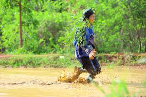 BIB: 
                            <button type="button" onclick="openModal(5246057)" class="btn btn-primary btn-sm float-right btn-popup" data-toggle="modal" data-target=".modal-high-quality">
                        <i class="fas fa-shopping-cart"></i> Add to Cart
                    </button>
                                            <button type="button" onclick="isThisMe(5246057, true)" class="btn btn-success btn-sm float-right btn-popup btn-isme hidden" data-toggle="tooltip" data-placement="bottom" title="นี่คือรูปของคุณใช่ไหม คลิกที่นี่เพื่อเอาเข้าอัลบั้ม">
                        <i class="fas fa-plus"></i> Add to album
                    </button>
                    <button type="button" onclick="isThisMe(5246057, false)" class="btn btn-warning btn-sm float-right btn-popup btn-isnotme hidden">
                        <i class="fas fa-ban"></i> Remove from album
                    </button>