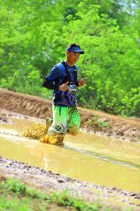 BIB: 
                            <button type="button" onclick="openModal(5246337)" class="btn btn-primary btn-sm float-right btn-popup" data-toggle="modal" data-target=".modal-high-quality">
                        <i class="fas fa-shopping-cart"></i> Add to Cart
                    </button>
                                            <button type="button" onclick="isThisMe(5246337, true)" class="btn btn-success btn-sm float-right btn-popup btn-isme hidden" data-toggle="tooltip" data-placement="bottom" title="นี่คือรูปของคุณใช่ไหม คลิกที่นี่เพื่อเอาเข้าอัลบั้ม">
                        <i class="fas fa-plus"></i> Add to album
                    </button>
                    <button type="button" onclick="isThisMe(5246337, false)" class="btn btn-warning btn-sm float-right btn-popup btn-isnotme hidden">
                        <i class="fas fa-ban"></i> Remove from album
                    </button>