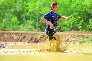 BIB: 006
                            <button type="button" onclick="openModal(5246049)" class="btn btn-primary btn-sm float-right btn-popup" data-toggle="modal" data-target=".modal-high-quality">
                        <i class="fas fa-shopping-cart"></i> Add to Cart
                    </button>
                                            <button type="button" onclick="isThisMe(5246049, true)" class="btn btn-success btn-sm float-right btn-popup btn-isme hidden" data-toggle="tooltip" data-placement="bottom" title="นี่คือรูปของคุณใช่ไหม คลิกที่นี่เพื่อเอาเข้าอัลบั้ม">
                        <i class="fas fa-plus"></i> Add to album
                    </button>
                    <button type="button" onclick="isThisMe(5246049, false)" class="btn btn-warning btn-sm float-right btn-popup btn-isnotme hidden">
                        <i class="fas fa-ban"></i> Remove from album
                    </button>