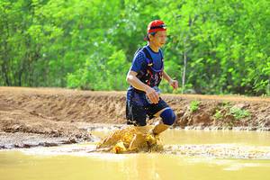 BIB: 
                            <button type="button" onclick="openModal(5246046)" class="btn btn-primary btn-sm float-right btn-popup" data-toggle="modal" data-target=".modal-high-quality">
                        <i class="fas fa-shopping-cart"></i> Add to Cart
                    </button>
                                            <button type="button" onclick="isThisMe(5246046, true)" class="btn btn-success btn-sm float-right btn-popup btn-isme hidden" data-toggle="tooltip" data-placement="bottom" title="นี่คือรูปของคุณใช่ไหม คลิกที่นี่เพื่อเอาเข้าอัลบั้ม">
                        <i class="fas fa-plus"></i> Add to album
                    </button>
                    <button type="button" onclick="isThisMe(5246046, false)" class="btn btn-warning btn-sm float-right btn-popup btn-isnotme hidden">
                        <i class="fas fa-ban"></i> Remove from album
                    </button>