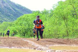 BIB: 0186
                            <button type="button" onclick="openModal(5213612)" class="btn btn-primary btn-sm float-right btn-popup" data-toggle="modal" data-target=".modal-high-quality">
                        <i class="fas fa-shopping-cart"></i> Add to Cart
                    </button>
                                            <button type="button" onclick="isThisMe(5213612, true)" class="btn btn-success btn-sm float-right btn-popup btn-isme hidden" data-toggle="tooltip" data-placement="bottom" title="นี่คือรูปของคุณใช่ไหม คลิกที่นี่เพื่อเอาเข้าอัลบั้ม">
                        <i class="fas fa-plus"></i> Add to album
                    </button>
                    <button type="button" onclick="isThisMe(5213612, false)" class="btn btn-warning btn-sm float-right btn-popup btn-isnotme hidden">
                        <i class="fas fa-ban"></i> Remove from album
                    </button>