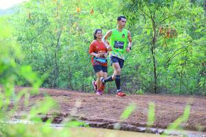 BIB: 
                            <button type="button" onclick="openModal(5116579)" class="btn btn-primary btn-sm float-right btn-popup" data-toggle="modal" data-target=".modal-high-quality">
                        <i class="fas fa-shopping-cart"></i> Add to Cart
                    </button>
                                            <button type="button" onclick="isThisMe(5116579, true)" class="btn btn-success btn-sm float-right btn-popup btn-isme hidden" data-toggle="tooltip" data-placement="bottom" title="นี่คือรูปของคุณใช่ไหม คลิกที่นี่เพื่อเอาเข้าอัลบั้ม">
                        <i class="fas fa-plus"></i> Add to album
                    </button>
                    <button type="button" onclick="isThisMe(5116579, false)" class="btn btn-warning btn-sm float-right btn-popup btn-isnotme hidden">
                        <i class="fas fa-ban"></i> Remove from album
                    </button>