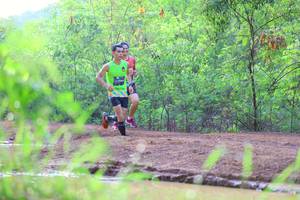 BIB: 
                            <button type="button" onclick="openModal(5116575)" class="btn btn-primary btn-sm float-right btn-popup" data-toggle="modal" data-target=".modal-high-quality">
                        <i class="fas fa-shopping-cart"></i> Add to Cart
                    </button>
                                            <button type="button" onclick="isThisMe(5116575, true)" class="btn btn-success btn-sm float-right btn-popup btn-isme hidden" data-toggle="tooltip" data-placement="bottom" title="นี่คือรูปของคุณใช่ไหม คลิกที่นี่เพื่อเอาเข้าอัลบั้ม">
                        <i class="fas fa-plus"></i> Add to album
                    </button>
                    <button type="button" onclick="isThisMe(5116575, false)" class="btn btn-warning btn-sm float-right btn-popup btn-isnotme hidden">
                        <i class="fas fa-ban"></i> Remove from album
                    </button>