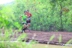 BIB: 
                            <button type="button" onclick="openModal(5116545)" class="btn btn-primary btn-sm float-right btn-popup" data-toggle="modal" data-target=".modal-high-quality">
                        <i class="fas fa-shopping-cart"></i> Add to Cart
                    </button>
                                            <button type="button" onclick="isThisMe(5116545, true)" class="btn btn-success btn-sm float-right btn-popup btn-isme hidden" data-toggle="tooltip" data-placement="bottom" title="นี่คือรูปของคุณใช่ไหม คลิกที่นี่เพื่อเอาเข้าอัลบั้ม">
                        <i class="fas fa-plus"></i> Add to album
                    </button>
                    <button type="button" onclick="isThisMe(5116545, false)" class="btn btn-warning btn-sm float-right btn-popup btn-isnotme hidden">
                        <i class="fas fa-ban"></i> Remove from album
                    </button>