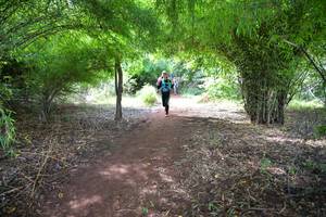 BIB: 551
                            <button type="button" onclick="openModal(5174286)" class="btn btn-primary btn-sm float-right btn-popup" data-toggle="modal" data-target=".modal-high-quality">
                        <i class="fas fa-shopping-cart"></i> Add to Cart
                    </button>
                                            <button type="button" onclick="isThisMe(5174286, true)" class="btn btn-success btn-sm float-right btn-popup btn-isme hidden" data-toggle="tooltip" data-placement="bottom" title="นี่คือรูปของคุณใช่ไหม คลิกที่นี่เพื่อเอาเข้าอัลบั้ม">
                        <i class="fas fa-plus"></i> Add to album
                    </button>
                    <button type="button" onclick="isThisMe(5174286, false)" class="btn btn-warning btn-sm float-right btn-popup btn-isnotme hidden">
                        <i class="fas fa-ban"></i> Remove from album
                    </button>