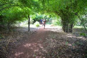 BIB: 531
                            <button type="button" onclick="openModal(5174325)" class="btn btn-primary btn-sm float-right btn-popup" data-toggle="modal" data-target=".modal-high-quality">
                        <i class="fas fa-shopping-cart"></i> Add to Cart
                    </button>
                                            <button type="button" onclick="isThisMe(5174325, true)" class="btn btn-success btn-sm float-right btn-popup btn-isme hidden" data-toggle="tooltip" data-placement="bottom" title="นี่คือรูปของคุณใช่ไหม คลิกที่นี่เพื่อเอาเข้าอัลบั้ม">
                        <i class="fas fa-plus"></i> Add to album
                    </button>
                    <button type="button" onclick="isThisMe(5174325, false)" class="btn btn-warning btn-sm float-right btn-popup btn-isnotme hidden">
                        <i class="fas fa-ban"></i> Remove from album
                    </button>