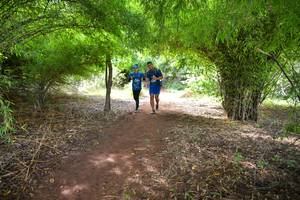 BIB: 882, 881
                            <button type="button" onclick="openModal(5171435)" class="btn btn-primary btn-sm float-right btn-popup" data-toggle="modal" data-target=".modal-high-quality">
                        <i class="fas fa-shopping-cart"></i> Add to Cart
                    </button>
                                            <button type="button" onclick="isThisMe(5171435, true)" class="btn btn-success btn-sm float-right btn-popup btn-isme hidden" data-toggle="tooltip" data-placement="bottom" title="นี่คือรูปของคุณใช่ไหม คลิกที่นี่เพื่อเอาเข้าอัลบั้ม">
                        <i class="fas fa-plus"></i> Add to album
                    </button>
                    <button type="button" onclick="isThisMe(5171435, false)" class="btn btn-warning btn-sm float-right btn-popup btn-isnotme hidden">
                        <i class="fas fa-ban"></i> Remove from album
                    </button>