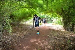 BIB: 183
                            <button type="button" onclick="openModal(5171275)" class="btn btn-primary btn-sm float-right btn-popup" data-toggle="modal" data-target=".modal-high-quality">
                        <i class="fas fa-shopping-cart"></i> Add to Cart
                    </button>
                                            <button type="button" onclick="isThisMe(5171275, true)" class="btn btn-success btn-sm float-right btn-popup btn-isme hidden" data-toggle="tooltip" data-placement="bottom" title="นี่คือรูปของคุณใช่ไหม คลิกที่นี่เพื่อเอาเข้าอัลบั้ม">
                        <i class="fas fa-plus"></i> Add to album
                    </button>
                    <button type="button" onclick="isThisMe(5171275, false)" class="btn btn-warning btn-sm float-right btn-popup btn-isnotme hidden">
                        <i class="fas fa-ban"></i> Remove from album
                    </button>