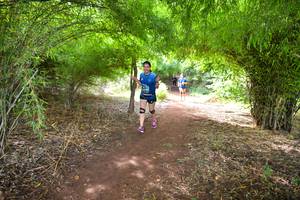 BIB: 195
                            <button type="button" onclick="openModal(5171406)" class="btn btn-primary btn-sm float-right btn-popup" data-toggle="modal" data-target=".modal-high-quality">
                        <i class="fas fa-shopping-cart"></i> Add to Cart
                    </button>
                                            <button type="button" onclick="isThisMe(5171406, true)" class="btn btn-success btn-sm float-right btn-popup btn-isme hidden" data-toggle="tooltip" data-placement="bottom" title="นี่คือรูปของคุณใช่ไหม คลิกที่นี่เพื่อเอาเข้าอัลบั้ม">
                        <i class="fas fa-plus"></i> Add to album
                    </button>
                    <button type="button" onclick="isThisMe(5171406, false)" class="btn btn-warning btn-sm float-right btn-popup btn-isnotme hidden">
                        <i class="fas fa-ban"></i> Remove from album
                    </button>