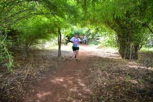 BIB: 530
                            <button type="button" onclick="openModal(5174312)" class="btn btn-primary btn-sm float-right btn-popup" data-toggle="modal" data-target=".modal-high-quality">
                        <i class="fas fa-shopping-cart"></i> Add to Cart
                    </button>
                                            <button type="button" onclick="isThisMe(5174312, true)" class="btn btn-success btn-sm float-right btn-popup btn-isme hidden" data-toggle="tooltip" data-placement="bottom" title="นี่คือรูปของคุณใช่ไหม คลิกที่นี่เพื่อเอาเข้าอัลบั้ม">
                        <i class="fas fa-plus"></i> Add to album
                    </button>
                    <button type="button" onclick="isThisMe(5174312, false)" class="btn btn-warning btn-sm float-right btn-popup btn-isnotme hidden">
                        <i class="fas fa-ban"></i> Remove from album
                    </button>