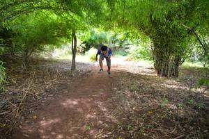 BIB: 531
                            <button type="button" onclick="openModal(5174348)" class="btn btn-primary btn-sm float-right btn-popup" data-toggle="modal" data-target=".modal-high-quality">
                        <i class="fas fa-shopping-cart"></i> Add to Cart
                    </button>
                                            <button type="button" onclick="isThisMe(5174348, true)" class="btn btn-success btn-sm float-right btn-popup btn-isme hidden" data-toggle="tooltip" data-placement="bottom" title="นี่คือรูปของคุณใช่ไหม คลิกที่นี่เพื่อเอาเข้าอัลบั้ม">
                        <i class="fas fa-plus"></i> Add to album
                    </button>
                    <button type="button" onclick="isThisMe(5174348, false)" class="btn btn-warning btn-sm float-right btn-popup btn-isnotme hidden">
                        <i class="fas fa-ban"></i> Remove from album
                    </button>