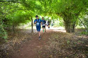 BIB: 164
                            <button type="button" onclick="openModal(5170547)" class="btn btn-primary btn-sm float-right btn-popup" data-toggle="modal" data-target=".modal-high-quality">
                        <i class="fas fa-shopping-cart"></i> Add to Cart
                    </button>
                                            <button type="button" onclick="isThisMe(5170547, true)" class="btn btn-success btn-sm float-right btn-popup btn-isme hidden" data-toggle="tooltip" data-placement="bottom" title="นี่คือรูปของคุณใช่ไหม คลิกที่นี่เพื่อเอาเข้าอัลบั้ม">
                        <i class="fas fa-plus"></i> Add to album
                    </button>
                    <button type="button" onclick="isThisMe(5170547, false)" class="btn btn-warning btn-sm float-right btn-popup btn-isnotme hidden">
                        <i class="fas fa-ban"></i> Remove from album
                    </button>