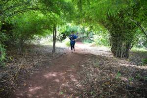 BIB: 780
                            <button type="button" onclick="openModal(5171479)" class="btn btn-primary btn-sm float-right btn-popup" data-toggle="modal" data-target=".modal-high-quality">
                        <i class="fas fa-shopping-cart"></i> Add to Cart
                    </button>
                                            <button type="button" onclick="isThisMe(5171479, true)" class="btn btn-success btn-sm float-right btn-popup btn-isme hidden" data-toggle="tooltip" data-placement="bottom" title="นี่คือรูปของคุณใช่ไหม คลิกที่นี่เพื่อเอาเข้าอัลบั้ม">
                        <i class="fas fa-plus"></i> Add to album
                    </button>
                    <button type="button" onclick="isThisMe(5171479, false)" class="btn btn-warning btn-sm float-right btn-popup btn-isnotme hidden">
                        <i class="fas fa-ban"></i> Remove from album
                    </button>