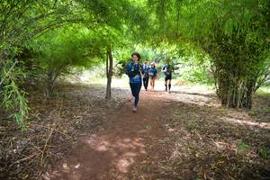 BIB: 950
                            <button type="button" onclick="openModal(5174565)" class="btn btn-primary btn-sm float-right btn-popup" data-toggle="modal" data-target=".modal-high-quality">
                        <i class="fas fa-shopping-cart"></i> Add to Cart
                    </button>
                                            <button type="button" onclick="isThisMe(5174565, true)" class="btn btn-success btn-sm float-right btn-popup btn-isme hidden" data-toggle="tooltip" data-placement="bottom" title="นี่คือรูปของคุณใช่ไหม คลิกที่นี่เพื่อเอาเข้าอัลบั้ม">
                        <i class="fas fa-plus"></i> Add to album
                    </button>
                    <button type="button" onclick="isThisMe(5174565, false)" class="btn btn-warning btn-sm float-right btn-popup btn-isnotme hidden">
                        <i class="fas fa-ban"></i> Remove from album
                    </button>