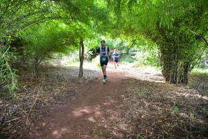 BIB: 183
                            <button type="button" onclick="openModal(5171278)" class="btn btn-primary btn-sm float-right btn-popup" data-toggle="modal" data-target=".modal-high-quality">
                        <i class="fas fa-shopping-cart"></i> Add to Cart
                    </button>
                                            <button type="button" onclick="isThisMe(5171278, true)" class="btn btn-success btn-sm float-right btn-popup btn-isme hidden" data-toggle="tooltip" data-placement="bottom" title="นี่คือรูปของคุณใช่ไหม คลิกที่นี่เพื่อเอาเข้าอัลบั้ม">
                        <i class="fas fa-plus"></i> Add to album
                    </button>
                    <button type="button" onclick="isThisMe(5171278, false)" class="btn btn-warning btn-sm float-right btn-popup btn-isnotme hidden">
                        <i class="fas fa-ban"></i> Remove from album
                    </button>