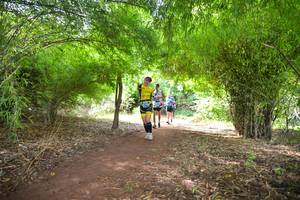 BIB: 1122
                            <button type="button" onclick="openModal(5170958)" class="btn btn-primary btn-sm float-right btn-popup" data-toggle="modal" data-target=".modal-high-quality">
                        <i class="fas fa-shopping-cart"></i> Add to Cart
                    </button>
                                            <button type="button" onclick="isThisMe(5170958, true)" class="btn btn-success btn-sm float-right btn-popup btn-isme hidden" data-toggle="tooltip" data-placement="bottom" title="นี่คือรูปของคุณใช่ไหม คลิกที่นี่เพื่อเอาเข้าอัลบั้ม">
                        <i class="fas fa-plus"></i> Add to album
                    </button>
                    <button type="button" onclick="isThisMe(5170958, false)" class="btn btn-warning btn-sm float-right btn-popup btn-isnotme hidden">
                        <i class="fas fa-ban"></i> Remove from album
                    </button>