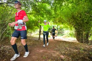 BIB: 225
                            <button type="button" onclick="openModal(5170918)" class="btn btn-primary btn-sm float-right btn-popup" data-toggle="modal" data-target=".modal-high-quality">
                        <i class="fas fa-shopping-cart"></i> Add to Cart
                    </button>
                                            <button type="button" onclick="isThisMe(5170918, true)" class="btn btn-success btn-sm float-right btn-popup btn-isme hidden" data-toggle="tooltip" data-placement="bottom" title="นี่คือรูปของคุณใช่ไหม คลิกที่นี่เพื่อเอาเข้าอัลบั้ม">
                        <i class="fas fa-plus"></i> Add to album
                    </button>
                    <button type="button" onclick="isThisMe(5170918, false)" class="btn btn-warning btn-sm float-right btn-popup btn-isnotme hidden">
                        <i class="fas fa-ban"></i> Remove from album
                    </button>