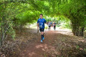 BIB: 719
                            <button type="button" onclick="openModal(5171149)" class="btn btn-primary btn-sm float-right btn-popup" data-toggle="modal" data-target=".modal-high-quality">
                        <i class="fas fa-shopping-cart"></i> Add to Cart
                    </button>
                                            <button type="button" onclick="isThisMe(5171149, true)" class="btn btn-success btn-sm float-right btn-popup btn-isme hidden" data-toggle="tooltip" data-placement="bottom" title="นี่คือรูปของคุณใช่ไหม คลิกที่นี่เพื่อเอาเข้าอัลบั้ม">
                        <i class="fas fa-plus"></i> Add to album
                    </button>
                    <button type="button" onclick="isThisMe(5171149, false)" class="btn btn-warning btn-sm float-right btn-popup btn-isnotme hidden">
                        <i class="fas fa-ban"></i> Remove from album
                    </button>