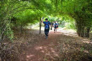 BIB: , 1050
                            <button type="button" onclick="openModal(5171478)" class="btn btn-primary btn-sm float-right btn-popup" data-toggle="modal" data-target=".modal-high-quality">
                        <i class="fas fa-shopping-cart"></i> Add to Cart
                    </button>
                                            <button type="button" onclick="isThisMe(5171478, true)" class="btn btn-success btn-sm float-right btn-popup btn-isme hidden" data-toggle="tooltip" data-placement="bottom" title="นี่คือรูปของคุณใช่ไหม คลิกที่นี่เพื่อเอาเข้าอัลบั้ม">
                        <i class="fas fa-plus"></i> Add to album
                    </button>
                    <button type="button" onclick="isThisMe(5171478, false)" class="btn btn-warning btn-sm float-right btn-popup btn-isnotme hidden">
                        <i class="fas fa-ban"></i> Remove from album
                    </button>