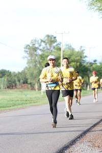 BIB: 
                            <button type="button" onclick="openModal(5231193)" class="btn btn-primary btn-sm float-right btn-popup" data-toggle="modal" data-target=".modal-high-quality">
                        <i class="fas fa-shopping-cart"></i> Add to Cart
                    </button>
                                            <button type="button" onclick="isThisMe(5231193, true)" class="btn btn-success btn-sm float-right btn-popup btn-isme hidden" data-toggle="tooltip" data-placement="bottom" title="นี่คือรูปของคุณใช่ไหม คลิกที่นี่เพื่อเอาเข้าอัลบั้ม">
                        <i class="fas fa-plus"></i> Add to album
                    </button>
                    <button type="button" onclick="isThisMe(5231193, false)" class="btn btn-warning btn-sm float-right btn-popup btn-isnotme hidden">
                        <i class="fas fa-ban"></i> Remove from album
                    </button>