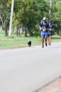 BIB: 
                            <button type="button" onclick="openModal(5227265)" class="btn btn-primary btn-sm float-right btn-popup" data-toggle="modal" data-target=".modal-high-quality">
                        <i class="fas fa-shopping-cart"></i> Add to Cart
                    </button>
                                            <button type="button" onclick="isThisMe(5227265, true)" class="btn btn-success btn-sm float-right btn-popup btn-isme hidden" data-toggle="tooltip" data-placement="bottom" title="นี่คือรูปของคุณใช่ไหม คลิกที่นี่เพื่อเอาเข้าอัลบั้ม">
                        <i class="fas fa-plus"></i> Add to album
                    </button>
                    <button type="button" onclick="isThisMe(5227265, false)" class="btn btn-warning btn-sm float-right btn-popup btn-isnotme hidden">
                        <i class="fas fa-ban"></i> Remove from album
                    </button>