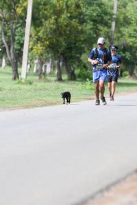 BIB: 
                            <button type="button" onclick="openModal(5227271)" class="btn btn-primary btn-sm float-right btn-popup" data-toggle="modal" data-target=".modal-high-quality">
                        <i class="fas fa-shopping-cart"></i> Add to Cart
                    </button>
                                            <button type="button" onclick="isThisMe(5227271, true)" class="btn btn-success btn-sm float-right btn-popup btn-isme hidden" data-toggle="tooltip" data-placement="bottom" title="นี่คือรูปของคุณใช่ไหม คลิกที่นี่เพื่อเอาเข้าอัลบั้ม">
                        <i class="fas fa-plus"></i> Add to album
                    </button>
                    <button type="button" onclick="isThisMe(5227271, false)" class="btn btn-warning btn-sm float-right btn-popup btn-isnotme hidden">
                        <i class="fas fa-ban"></i> Remove from album
                    </button>