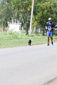 BIB: 
                            <button type="button" onclick="openModal(5227269)" class="btn btn-primary btn-sm float-right btn-popup" data-toggle="modal" data-target=".modal-high-quality">
                        <i class="fas fa-shopping-cart"></i> Add to Cart
                    </button>
                                            <button type="button" onclick="isThisMe(5227269, true)" class="btn btn-success btn-sm float-right btn-popup btn-isme hidden" data-toggle="tooltip" data-placement="bottom" title="นี่คือรูปของคุณใช่ไหม คลิกที่นี่เพื่อเอาเข้าอัลบั้ม">
                        <i class="fas fa-plus"></i> Add to album
                    </button>
                    <button type="button" onclick="isThisMe(5227269, false)" class="btn btn-warning btn-sm float-right btn-popup btn-isnotme hidden">
                        <i class="fas fa-ban"></i> Remove from album
                    </button>