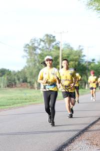 BIB: 
                            <button type="button" onclick="openModal(5231195)" class="btn btn-primary btn-sm float-right btn-popup" data-toggle="modal" data-target=".modal-high-quality">
                        <i class="fas fa-shopping-cart"></i> Add to Cart
                    </button>
                                            <button type="button" onclick="isThisMe(5231195, true)" class="btn btn-success btn-sm float-right btn-popup btn-isme hidden" data-toggle="tooltip" data-placement="bottom" title="นี่คือรูปของคุณใช่ไหม คลิกที่นี่เพื่อเอาเข้าอัลบั้ม">
                        <i class="fas fa-plus"></i> Add to album
                    </button>
                    <button type="button" onclick="isThisMe(5231195, false)" class="btn btn-warning btn-sm float-right btn-popup btn-isnotme hidden">
                        <i class="fas fa-ban"></i> Remove from album
                    </button>