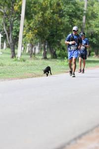 BIB: 
                            <button type="button" onclick="openModal(5227267)" class="btn btn-primary btn-sm float-right btn-popup" data-toggle="modal" data-target=".modal-high-quality">
                        <i class="fas fa-shopping-cart"></i> Add to Cart
                    </button>
                                            <button type="button" onclick="isThisMe(5227267, true)" class="btn btn-success btn-sm float-right btn-popup btn-isme hidden" data-toggle="tooltip" data-placement="bottom" title="นี่คือรูปของคุณใช่ไหม คลิกที่นี่เพื่อเอาเข้าอัลบั้ม">
                        <i class="fas fa-plus"></i> Add to album
                    </button>
                    <button type="button" onclick="isThisMe(5227267, false)" class="btn btn-warning btn-sm float-right btn-popup btn-isnotme hidden">
                        <i class="fas fa-ban"></i> Remove from album
                    </button>