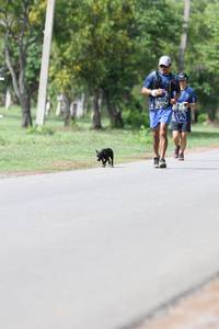 BIB: 
                            <button type="button" onclick="openModal(5227268)" class="btn btn-primary btn-sm float-right btn-popup" data-toggle="modal" data-target=".modal-high-quality">
                        <i class="fas fa-shopping-cart"></i> Add to Cart
                    </button>
                                            <button type="button" onclick="isThisMe(5227268, true)" class="btn btn-success btn-sm float-right btn-popup btn-isme hidden" data-toggle="tooltip" data-placement="bottom" title="นี่คือรูปของคุณใช่ไหม คลิกที่นี่เพื่อเอาเข้าอัลบั้ม">
                        <i class="fas fa-plus"></i> Add to album
                    </button>
                    <button type="button" onclick="isThisMe(5227268, false)" class="btn btn-warning btn-sm float-right btn-popup btn-isnotme hidden">
                        <i class="fas fa-ban"></i> Remove from album
                    </button>