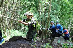 BIB: 
                            <button type="button" onclick="openModal(5123321)" class="btn btn-primary btn-sm float-right btn-popup" data-toggle="modal" data-target=".modal-high-quality">
                        <i class="fas fa-shopping-cart"></i> Add to Cart
                    </button>
                                            <button type="button" onclick="isThisMe(5123321, true)" class="btn btn-success btn-sm float-right btn-popup btn-isme hidden" data-toggle="tooltip" data-placement="bottom" title="นี่คือรูปของคุณใช่ไหม คลิกที่นี่เพื่อเอาเข้าอัลบั้ม">
                        <i class="fas fa-plus"></i> Add to album
                    </button>
                    <button type="button" onclick="isThisMe(5123321, false)" class="btn btn-warning btn-sm float-right btn-popup btn-isnotme hidden">
                        <i class="fas fa-ban"></i> Remove from album
                    </button>