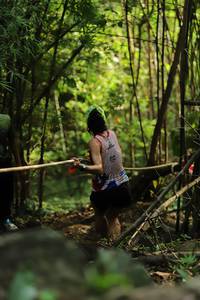 BIB: 
                            <button type="button" onclick="openModal(4994269)" class="btn btn-primary btn-sm float-right btn-popup" data-toggle="modal" data-target=".modal-high-quality">
                        <i class="fas fa-shopping-cart"></i> Add to Cart
                    </button>
                                            <button type="button" onclick="isThisMe(4994269, true)" class="btn btn-success btn-sm float-right btn-popup btn-isme hidden" data-toggle="tooltip" data-placement="bottom" title="นี่คือรูปของคุณใช่ไหม คลิกที่นี่เพื่อเอาเข้าอัลบั้ม">
                        <i class="fas fa-plus"></i> Add to album
                    </button>
                    <button type="button" onclick="isThisMe(4994269, false)" class="btn btn-warning btn-sm float-right btn-popup btn-isnotme hidden">
                        <i class="fas fa-ban"></i> Remove from album
                    </button>