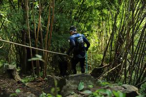 BIB: 
                            <button type="button" onclick="openModal(4995014)" class="btn btn-primary btn-sm float-right btn-popup" data-toggle="modal" data-target=".modal-high-quality">
                        <i class="fas fa-shopping-cart"></i> Add to Cart
                    </button>
                                            <button type="button" onclick="isThisMe(4995014, true)" class="btn btn-success btn-sm float-right btn-popup btn-isme hidden" data-toggle="tooltip" data-placement="bottom" title="นี่คือรูปของคุณใช่ไหม คลิกที่นี่เพื่อเอาเข้าอัลบั้ม">
                        <i class="fas fa-plus"></i> Add to album
                    </button>
                    <button type="button" onclick="isThisMe(4995014, false)" class="btn btn-warning btn-sm float-right btn-popup btn-isnotme hidden">
                        <i class="fas fa-ban"></i> Remove from album
                    </button>