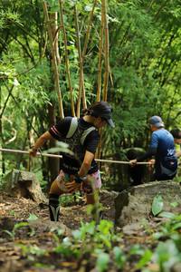 BIB: 
                            <button type="button" onclick="openModal(5072236)" class="btn btn-primary btn-sm float-right btn-popup" data-toggle="modal" data-target=".modal-high-quality">
                        <i class="fas fa-shopping-cart"></i> Add to Cart
                    </button>
                                            <button type="button" onclick="isThisMe(5072236, true)" class="btn btn-success btn-sm float-right btn-popup btn-isme hidden" data-toggle="tooltip" data-placement="bottom" title="นี่คือรูปของคุณใช่ไหม คลิกที่นี่เพื่อเอาเข้าอัลบั้ม">
                        <i class="fas fa-plus"></i> Add to album
                    </button>
                    <button type="button" onclick="isThisMe(5072236, false)" class="btn btn-warning btn-sm float-right btn-popup btn-isnotme hidden">
                        <i class="fas fa-ban"></i> Remove from album
                    </button>