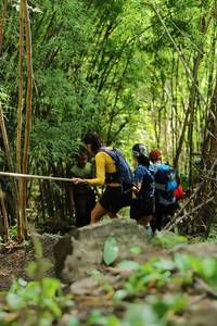 BIB: 
                            <button type="button" onclick="openModal(5073116)" class="btn btn-primary btn-sm float-right btn-popup" data-toggle="modal" data-target=".modal-high-quality">
                        <i class="fas fa-shopping-cart"></i> Add to Cart
                    </button>
                                            <button type="button" onclick="isThisMe(5073116, true)" class="btn btn-success btn-sm float-right btn-popup btn-isme hidden" data-toggle="tooltip" data-placement="bottom" title="นี่คือรูปของคุณใช่ไหม คลิกที่นี่เพื่อเอาเข้าอัลบั้ม">
                        <i class="fas fa-plus"></i> Add to album
                    </button>
                    <button type="button" onclick="isThisMe(5073116, false)" class="btn btn-warning btn-sm float-right btn-popup btn-isnotme hidden">
                        <i class="fas fa-ban"></i> Remove from album
                    </button>