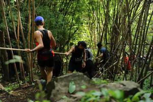 BIB: 
                            <button type="button" onclick="openModal(4996440)" class="btn btn-primary btn-sm float-right btn-popup" data-toggle="modal" data-target=".modal-high-quality">
                        <i class="fas fa-shopping-cart"></i> Add to Cart
                    </button>
                                            <button type="button" onclick="isThisMe(4996440, true)" class="btn btn-success btn-sm float-right btn-popup btn-isme hidden" data-toggle="tooltip" data-placement="bottom" title="นี่คือรูปของคุณใช่ไหม คลิกที่นี่เพื่อเอาเข้าอัลบั้ม">
                        <i class="fas fa-plus"></i> Add to album
                    </button>
                    <button type="button" onclick="isThisMe(4996440, false)" class="btn btn-warning btn-sm float-right btn-popup btn-isnotme hidden">
                        <i class="fas fa-ban"></i> Remove from album
                    </button>