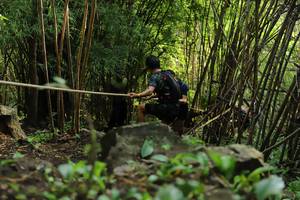 BIB: 
                            <button type="button" onclick="openModal(4994927)" class="btn btn-primary btn-sm float-right btn-popup" data-toggle="modal" data-target=".modal-high-quality">
                        <i class="fas fa-shopping-cart"></i> Add to Cart
                    </button>
                                            <button type="button" onclick="isThisMe(4994927, true)" class="btn btn-success btn-sm float-right btn-popup btn-isme hidden" data-toggle="tooltip" data-placement="bottom" title="นี่คือรูปของคุณใช่ไหม คลิกที่นี่เพื่อเอาเข้าอัลบั้ม">
                        <i class="fas fa-plus"></i> Add to album
                    </button>
                    <button type="button" onclick="isThisMe(4994927, false)" class="btn btn-warning btn-sm float-right btn-popup btn-isnotme hidden">
                        <i class="fas fa-ban"></i> Remove from album
                    </button>