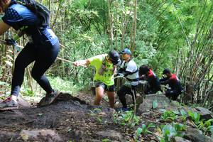 BIB: 
                            <button type="button" onclick="openModal(5123354)" class="btn btn-primary btn-sm float-right btn-popup" data-toggle="modal" data-target=".modal-high-quality">
                        <i class="fas fa-shopping-cart"></i> Add to Cart
                    </button>
                                            <button type="button" onclick="isThisMe(5123354, true)" class="btn btn-success btn-sm float-right btn-popup btn-isme hidden" data-toggle="tooltip" data-placement="bottom" title="นี่คือรูปของคุณใช่ไหม คลิกที่นี่เพื่อเอาเข้าอัลบั้ม">
                        <i class="fas fa-plus"></i> Add to album
                    </button>
                    <button type="button" onclick="isThisMe(5123354, false)" class="btn btn-warning btn-sm float-right btn-popup btn-isnotme hidden">
                        <i class="fas fa-ban"></i> Remove from album
                    </button>