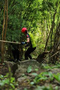 BIB: 
                            <button type="button" onclick="openModal(4996064)" class="btn btn-primary btn-sm float-right btn-popup" data-toggle="modal" data-target=".modal-high-quality">
                        <i class="fas fa-shopping-cart"></i> Add to Cart
                    </button>
                                            <button type="button" onclick="isThisMe(4996064, true)" class="btn btn-success btn-sm float-right btn-popup btn-isme hidden" data-toggle="tooltip" data-placement="bottom" title="นี่คือรูปของคุณใช่ไหม คลิกที่นี่เพื่อเอาเข้าอัลบั้ม">
                        <i class="fas fa-plus"></i> Add to album
                    </button>
                    <button type="button" onclick="isThisMe(4996064, false)" class="btn btn-warning btn-sm float-right btn-popup btn-isnotme hidden">
                        <i class="fas fa-ban"></i> Remove from album
                    </button>