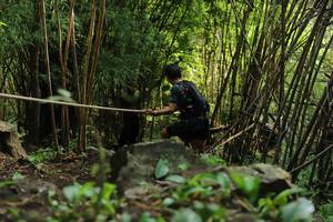 BIB: 
                            <button type="button" onclick="openModal(4994945)" class="btn btn-primary btn-sm float-right btn-popup" data-toggle="modal" data-target=".modal-high-quality">
                        <i class="fas fa-shopping-cart"></i> Add to Cart
                    </button>
                                            <button type="button" onclick="isThisMe(4994945, true)" class="btn btn-success btn-sm float-right btn-popup btn-isme hidden" data-toggle="tooltip" data-placement="bottom" title="นี่คือรูปของคุณใช่ไหม คลิกที่นี่เพื่อเอาเข้าอัลบั้ม">
                        <i class="fas fa-plus"></i> Add to album
                    </button>
                    <button type="button" onclick="isThisMe(4994945, false)" class="btn btn-warning btn-sm float-right btn-popup btn-isnotme hidden">
                        <i class="fas fa-ban"></i> Remove from album
                    </button>