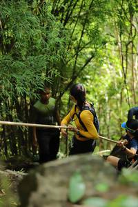 BIB: 
                            <button type="button" onclick="openModal(5073113)" class="btn btn-primary btn-sm float-right btn-popup" data-toggle="modal" data-target=".modal-high-quality">
                        <i class="fas fa-shopping-cart"></i> Add to Cart
                    </button>
                                            <button type="button" onclick="isThisMe(5073113, true)" class="btn btn-success btn-sm float-right btn-popup btn-isme hidden" data-toggle="tooltip" data-placement="bottom" title="นี่คือรูปของคุณใช่ไหม คลิกที่นี่เพื่อเอาเข้าอัลบั้ม">
                        <i class="fas fa-plus"></i> Add to album
                    </button>
                    <button type="button" onclick="isThisMe(5073113, false)" class="btn btn-warning btn-sm float-right btn-popup btn-isnotme hidden">
                        <i class="fas fa-ban"></i> Remove from album
                    </button>